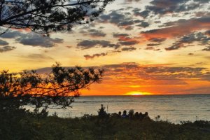 Нелечебное мероприятие